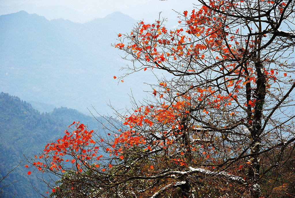 mount-emei.jpg