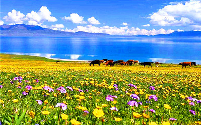 Sayram Lake Yining.jpg