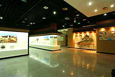 xinjiang regional museum-3.jpg