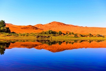 Badan Jaran Desert-1.jpg