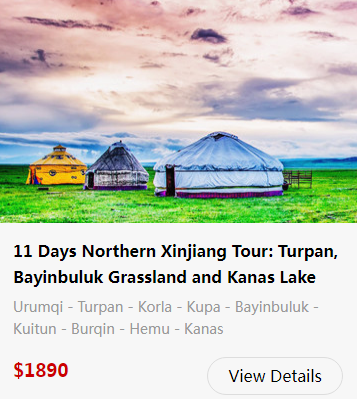 bayanbulak-grassland-25.png