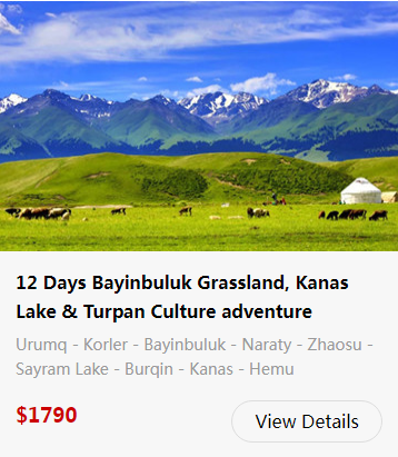 bayanbulak-grassland-26.png