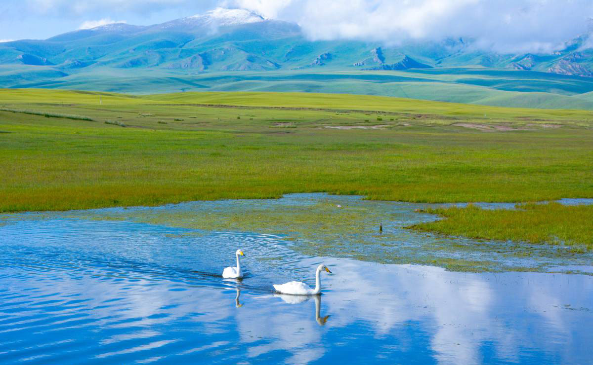 bayanbulak-grassland-29.jpg