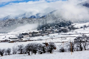 Lulang Forest in winter