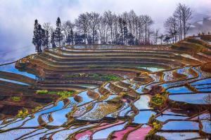 Yuanyang Rice Terraces