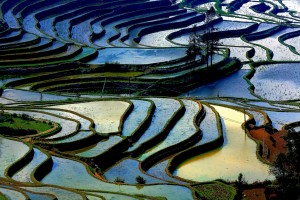 The Yuanyang Terraces