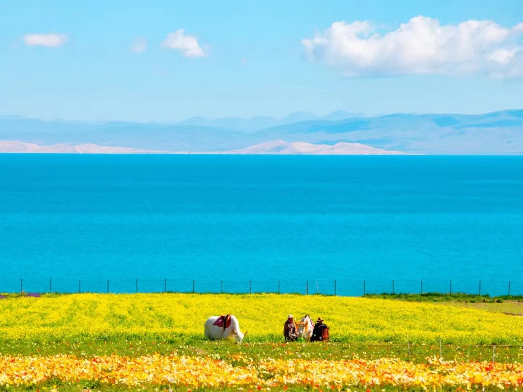 Qinghai Lake