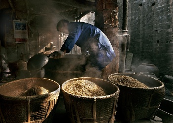 Fenjiu brewing process     