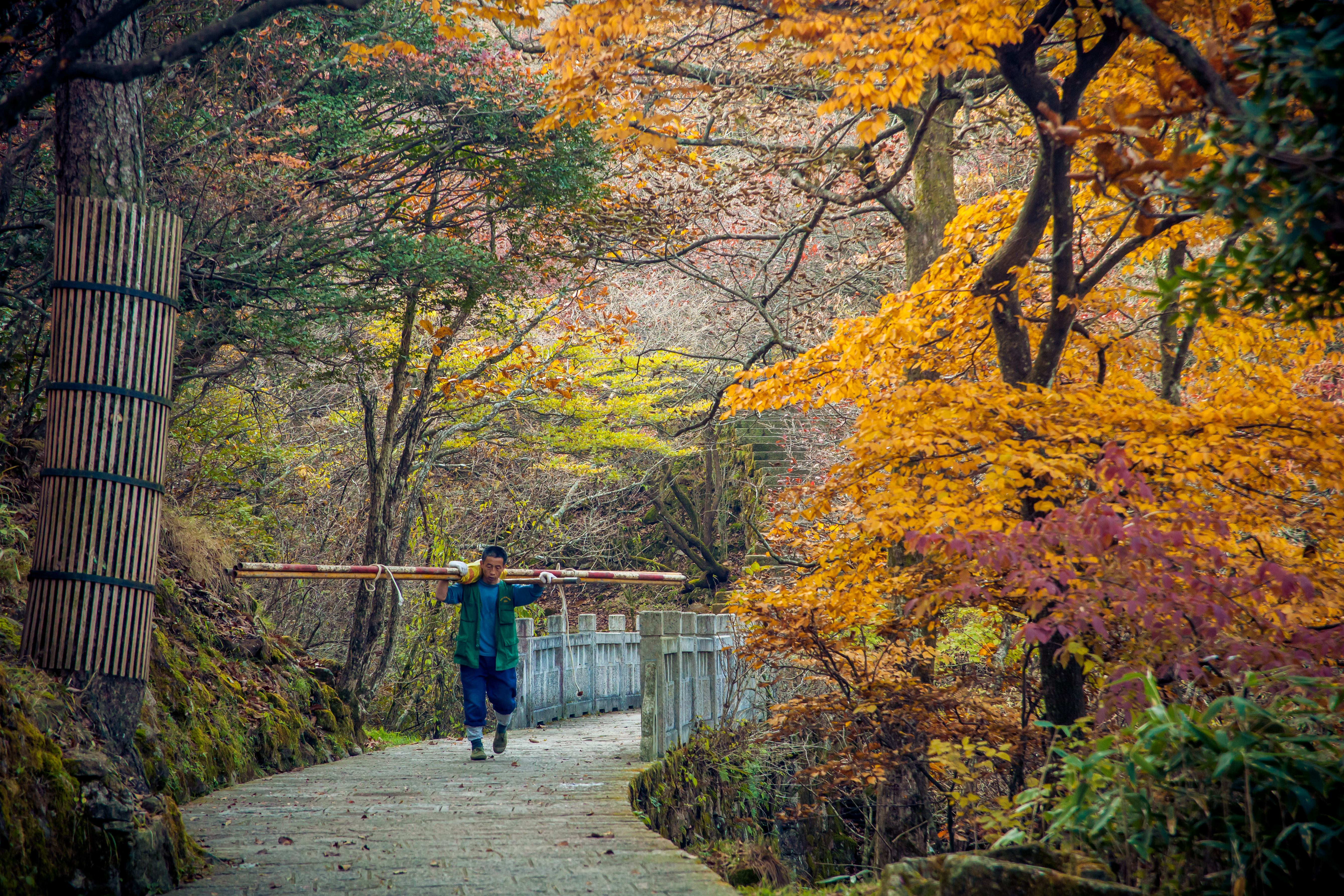 Mount Huangshan