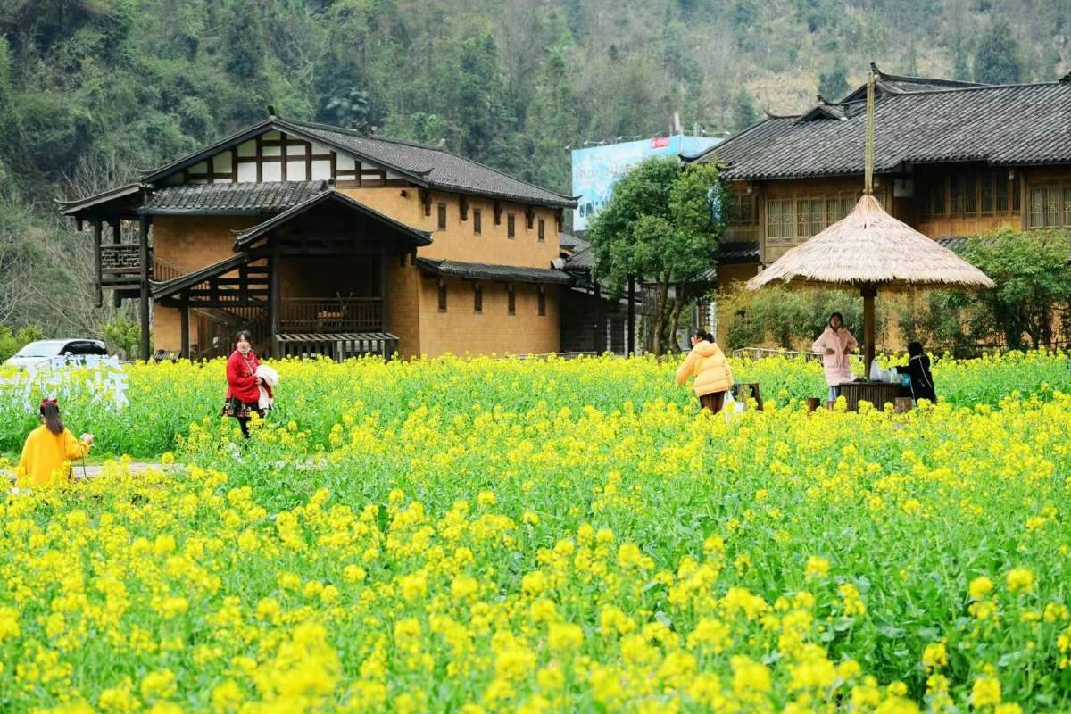 Zhangjiajie