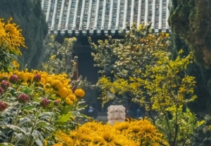 Daxiangguo Temple autumn.png