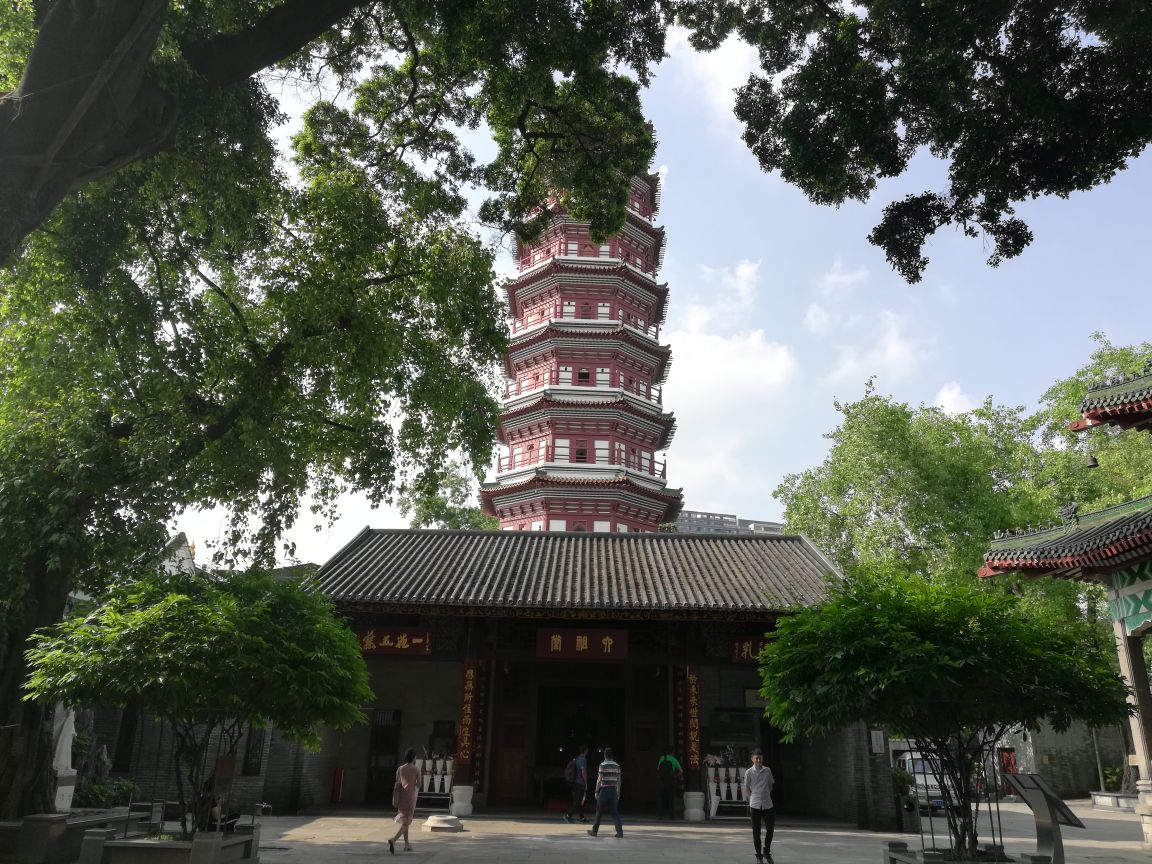 Six Banyan.jpg