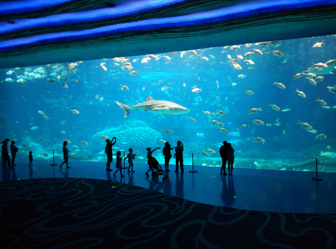 Ocean.jpg