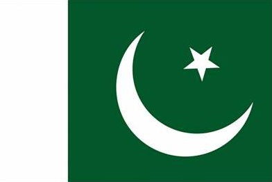 the Flag of Pakistan.jpg