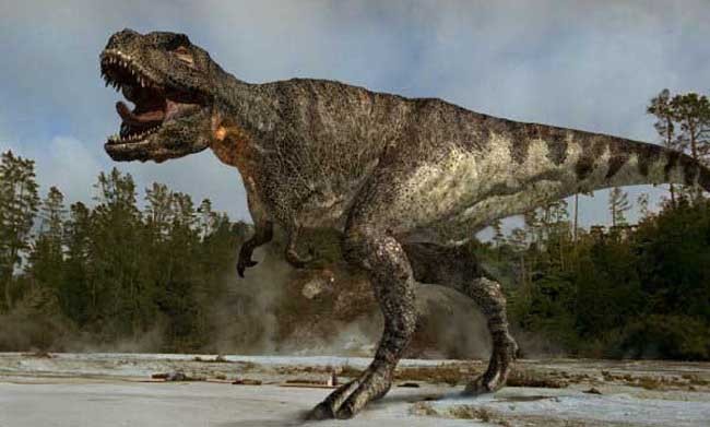 Dinosaur Plateau-3.jpg