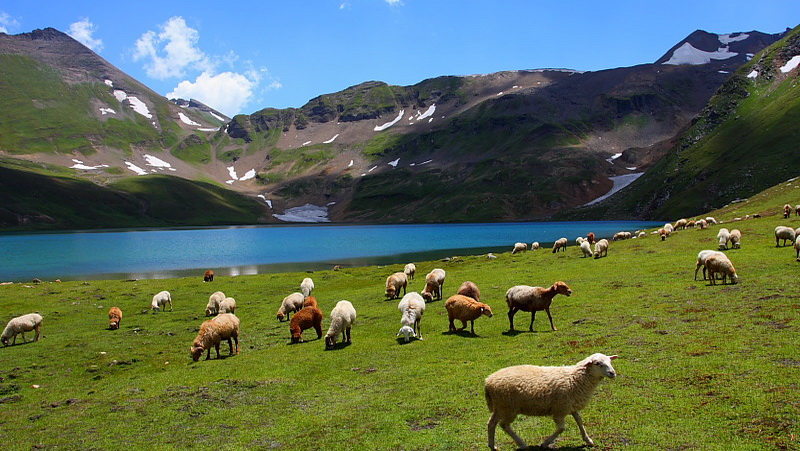 Deosai National Park-1.jpg