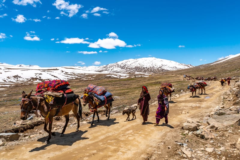 Deosai National Park-2.jpg