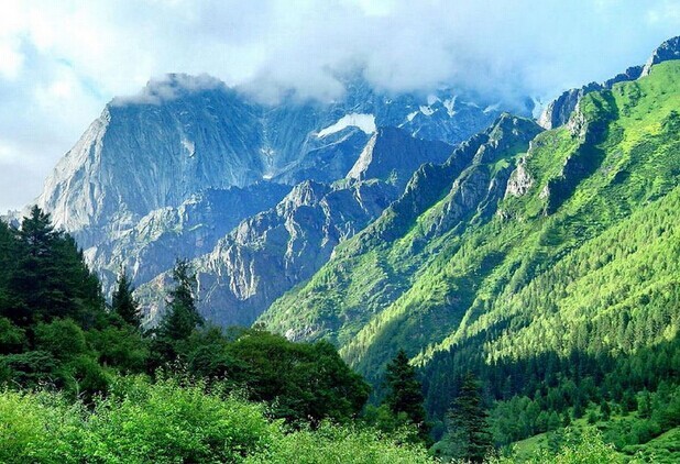 Nature Reserve.jpg