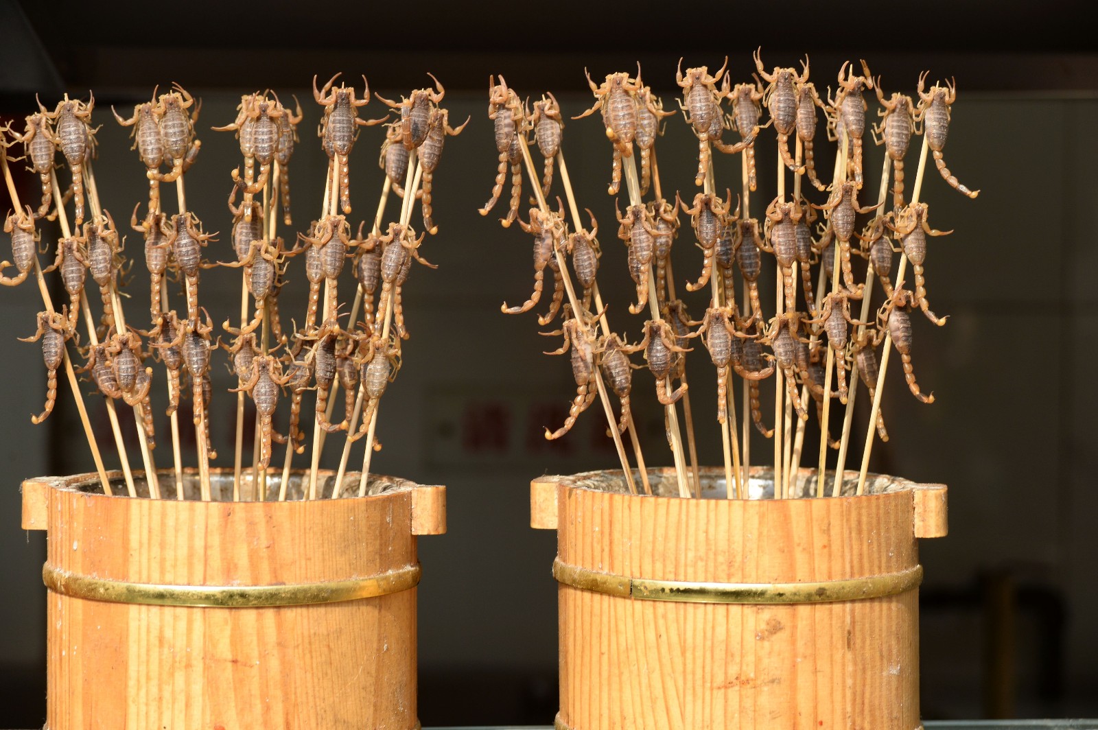 Scorpion Skewer.jpg