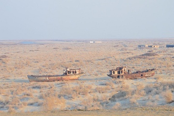 The ship cemetery