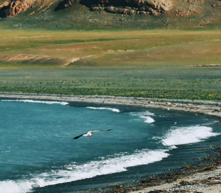 tibet-namrso-lake.png