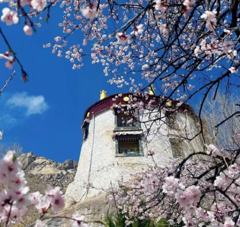 Tibet-tour-lulang1.png