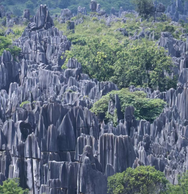 Yunnan-stone-forest.png
