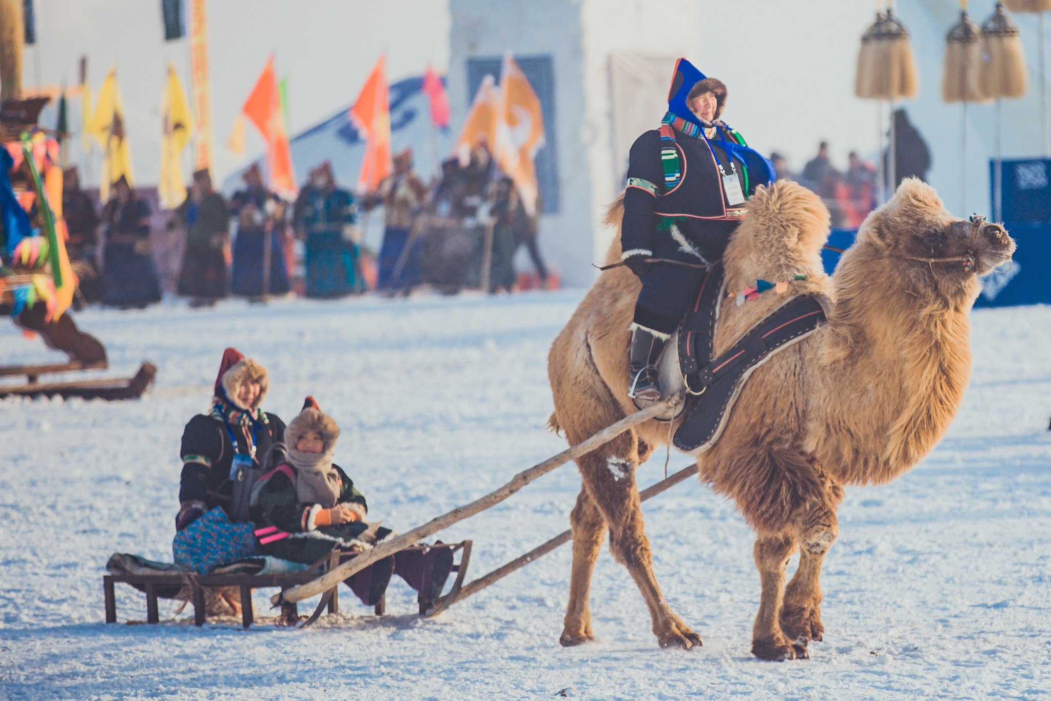 Best Time to Visit Mongolia