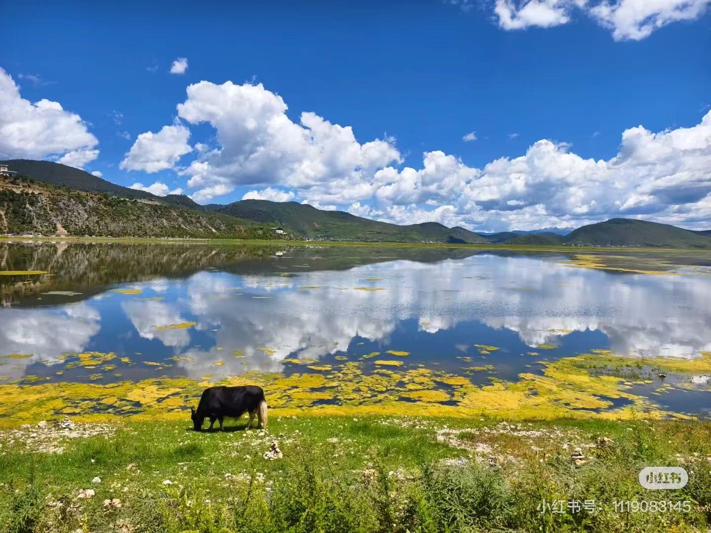 How to Plan Yunnan Tour