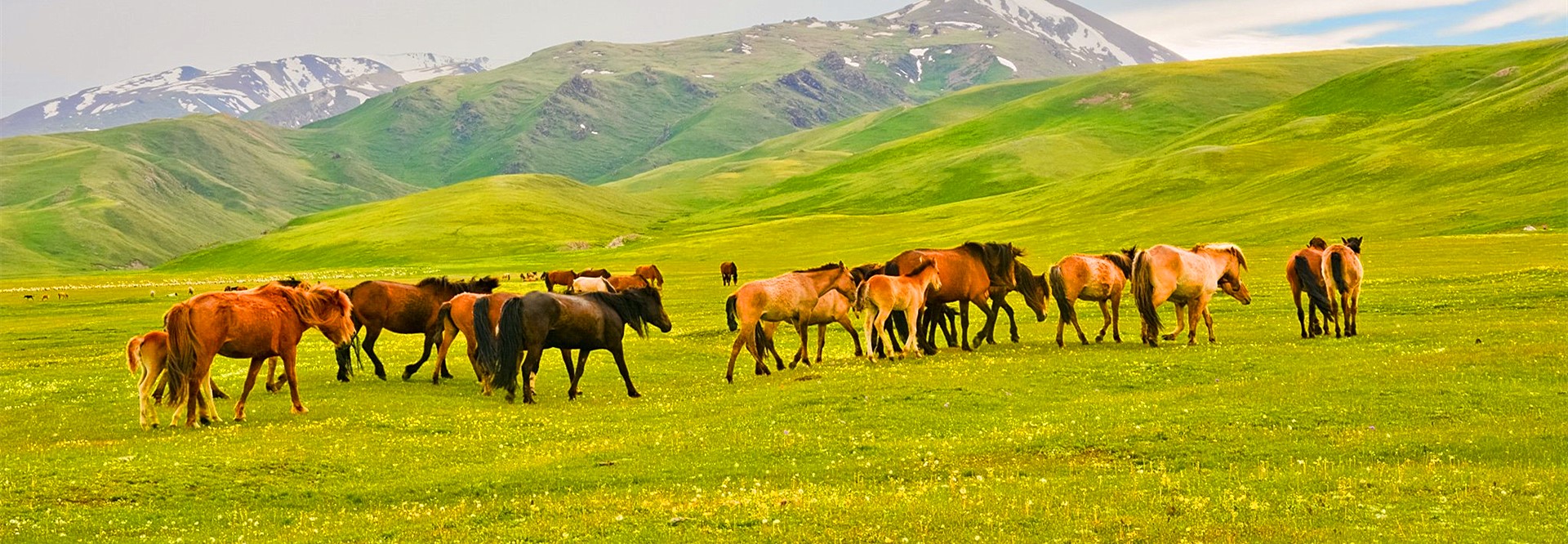 Xinjiang Tours