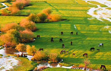 10 Days North Xinjiang Photography Tour