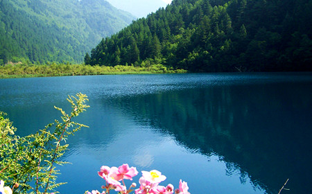 5 Days Chengdu-Jiuzhai Valley Tour