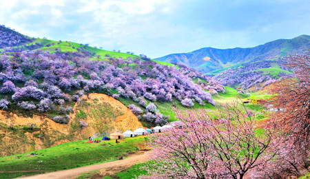 Silk Road Tour in Spring of March and April