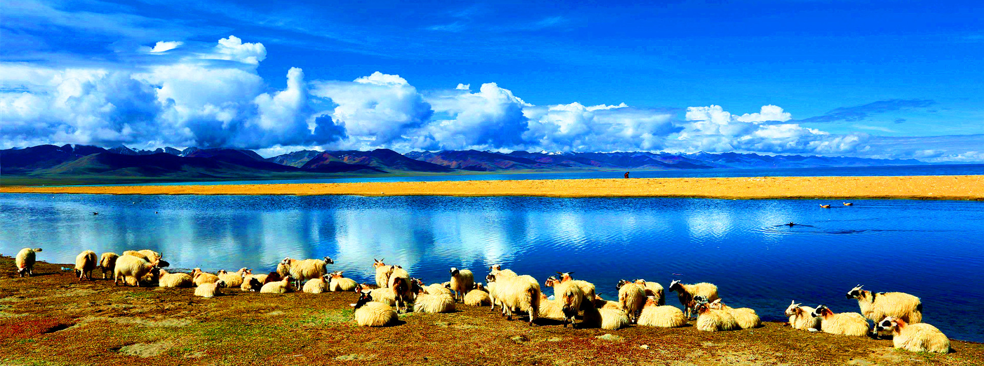 Tibet Tours