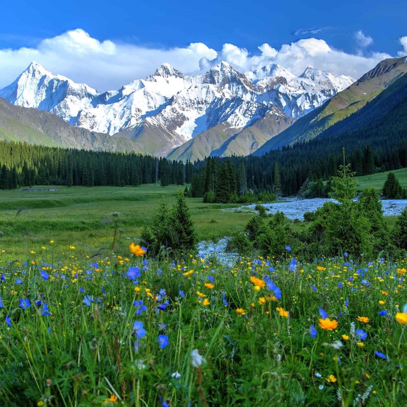 16 Days Grand Xinjiang Group Tour: Kashgar, Kanas, Naraty