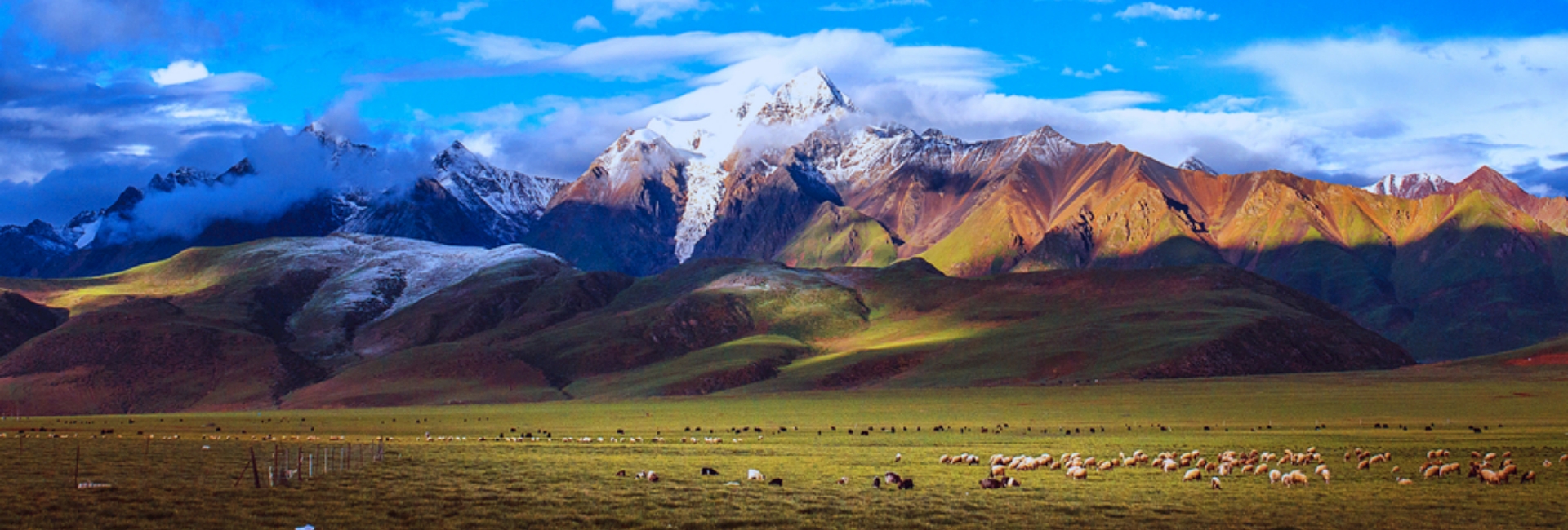 Tibet Tours