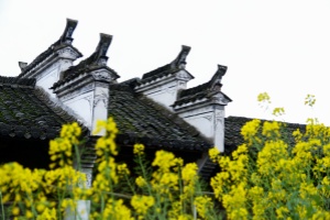 4 Days Jiangxi Tour