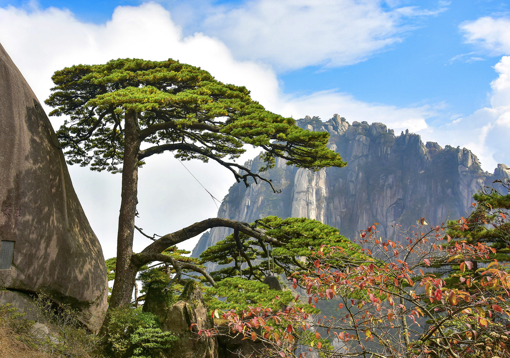 One Day Huangshan Group Tour