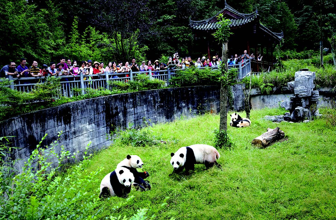 12 Days China Tour from Chengdu to Zhangjiajie with Yangtze River Cruise