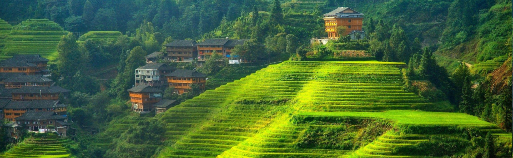 China Tours
